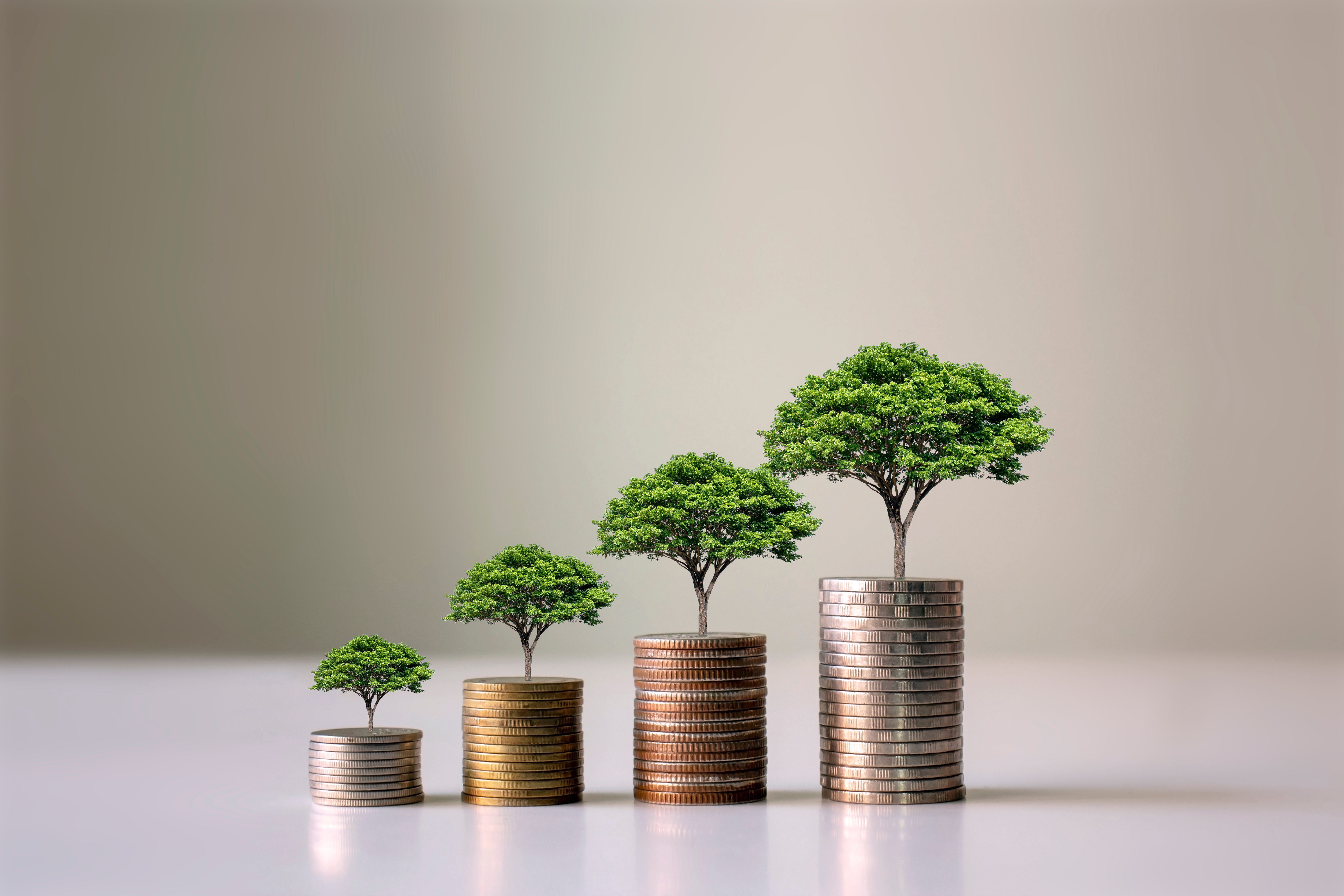 Showing,Financial,Developments,And,Business,Growth,With,A,Growing,Tree Showing,Financial,Developments,And,Business,Growth,With,A,Growing,Tree